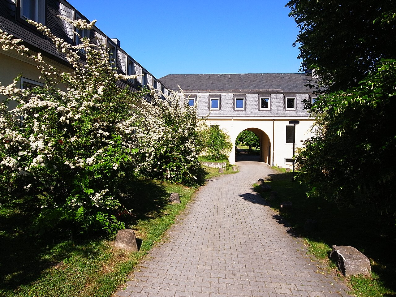 University of Hohenheim